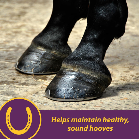 Horse Health Vita Biotin Crumbles Horse Hoof Supplement, Helps Maintain Healthy, Sound Hooves And Strong Hoof Walls, 3 Lbs., 48 Day Supply