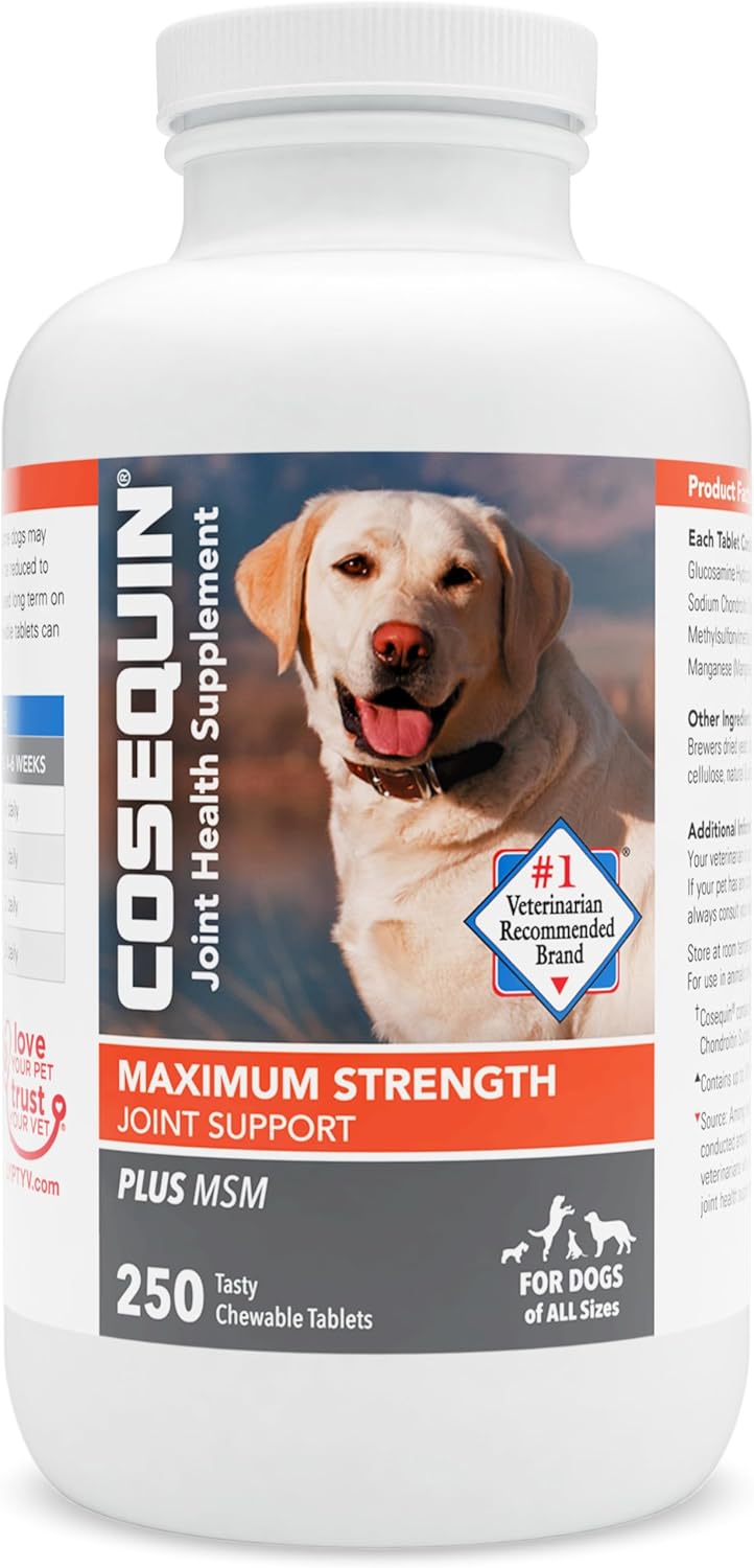 Nutramax Laboratories Cosequin Maximum Strength Joint Health Supplement For Dogs - With Glucosamine, Chondroitin, And Msm, 250 Chewable Tablets