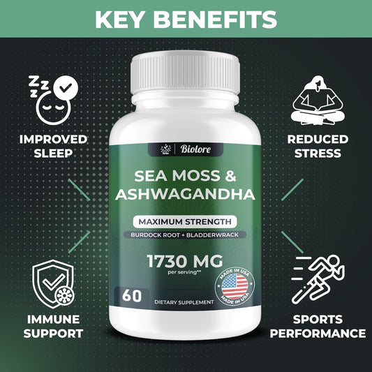 Sea Moss Gummies With Ashwagandha 1730 Mg, High Potency, Irish Sea Moss, Burdock Root, Bladderwrack Extract, Digestive & Immune Support - Vegan, Non-Gmo, Gluten-Free (60 Count)