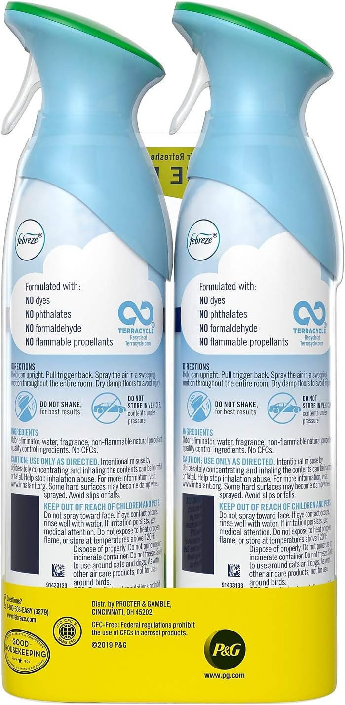 Febreze 2728770 Febreze AIR Handheld Aerosols Morning & Dew 8.8 oz. 2/Pack (73041) : Health & Household