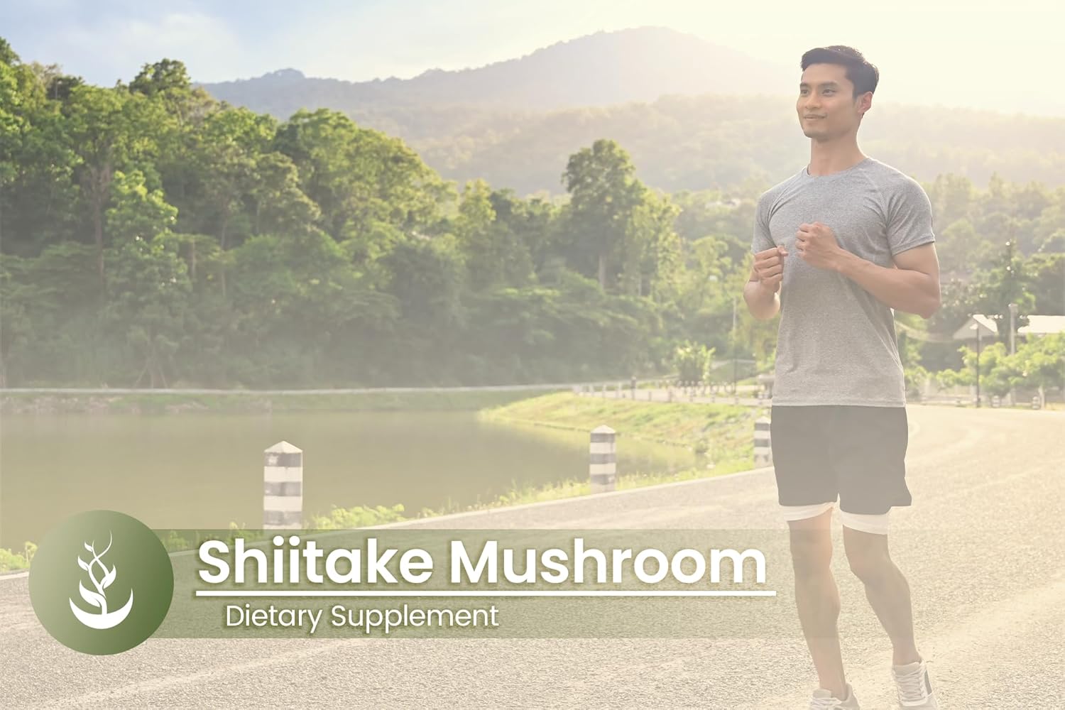 Pure Original Ingredients Shiitake Mushroom Extract (100 Capsules) Always Pure, No Additives Or Fillers, Lab Verified : Health & Household