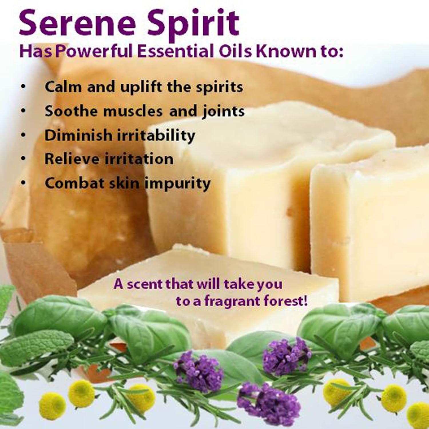 Vintage Tradition Beef Tallow All Purpose Balm - Healing, Hydrating Fragrant Forest Skin Care Salve Replaces Body Lotion, Hand Cream, More - Essential Oil, Olive Oil, And Grass-Fed Tallow, 2 Fl Oz. : Beauty & Personal Care