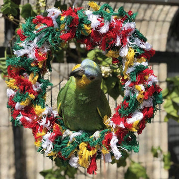 Northern Parrots Rainbow Ring Parrot Swing – Preening Parrot Toy
