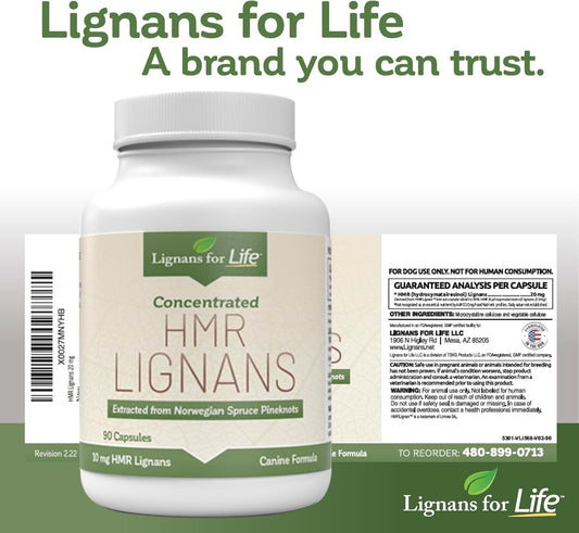 Lignans For Life HMR LIGNANS 10mg Capsules - Perfect for Small Dog Breeds - Dog Vitamin for Healthy Pet | Natural Dog Multivitamin | Dog Wellness Supplement | Pet Vitamin | Dog Nutritional Supplement : Pet Supplies