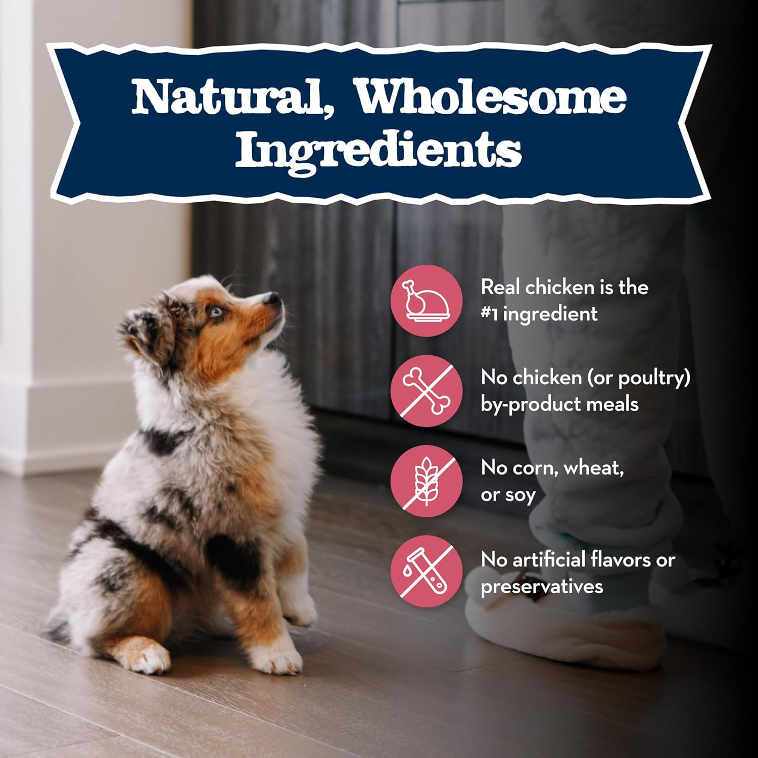Blue Buffalo Baby BLUE Natural Small Breed Puppy Dry Dog Food, Healthy Growth Formula with DHA, Chicken and Oatmeal Recipe, 4-lb. Bag : Pet Supplies