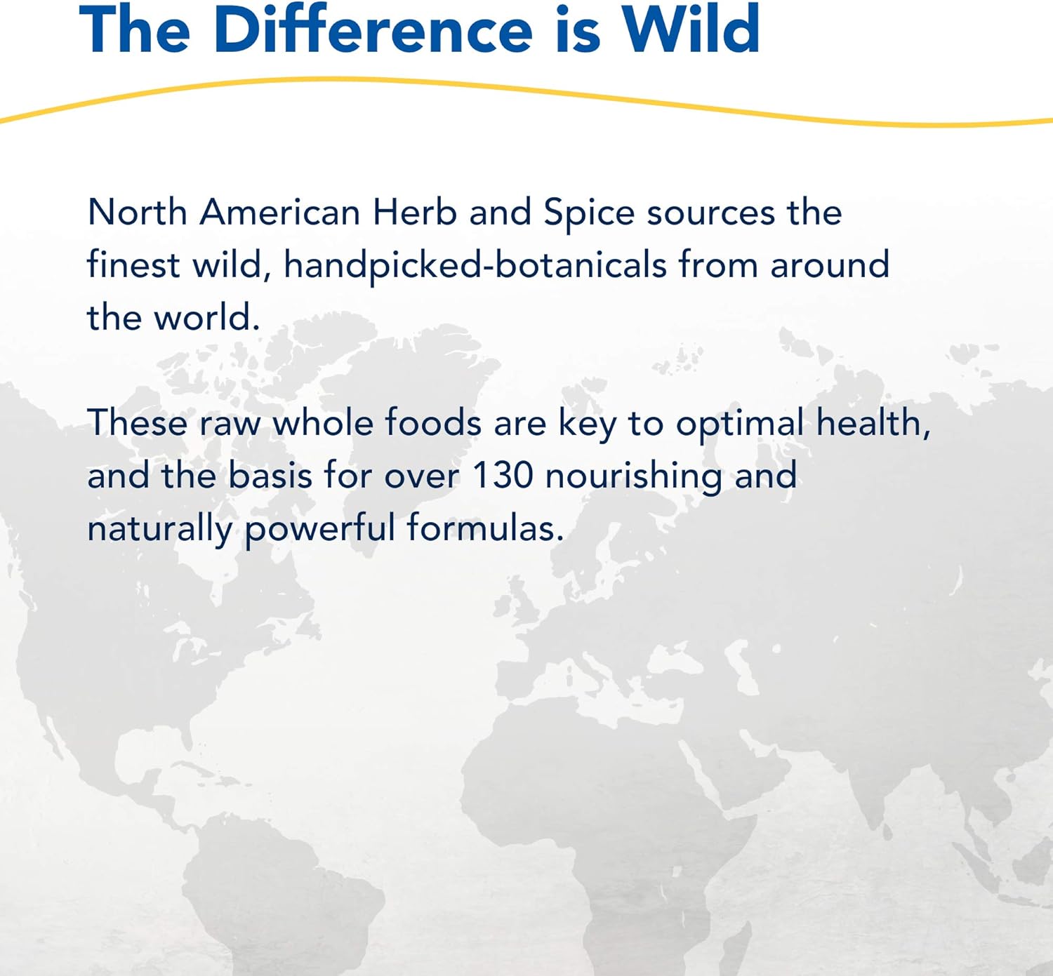 North American Herb & Spice Gingamax Tea - 3.5 Oz - Ceylon Ginger - Digestion Support, Immunity, Overall Health - Non-Gmo - 50 Servings : Grocery & Gourmet Food