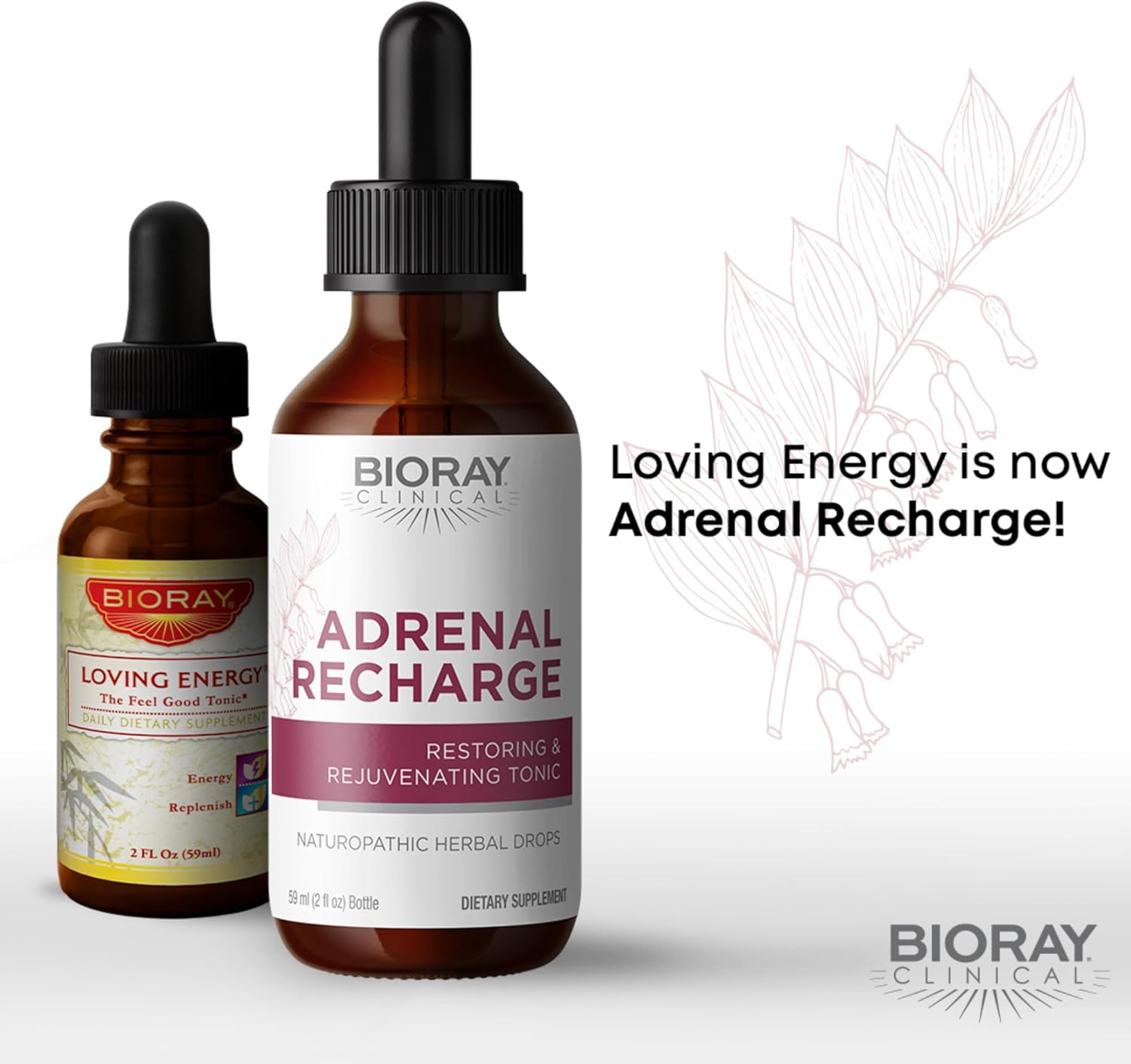 Bioray Clinical Adrenal Recharge - 4 Fl Oz - Restoring & Rejuvenating Alcohol Tincture - Non-Gmo, Vegan, Gluten Free : Health & Household