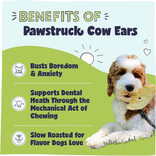 Pawstruck Natural Jumbo Cow Ears for Dogs - Healthy Rawhide Free, Highly Digestible Low Calorie & Long Lasting Dental Chew Treat for Small, Medium, Large Chewers - Pack of 10 - Packaging May Vary