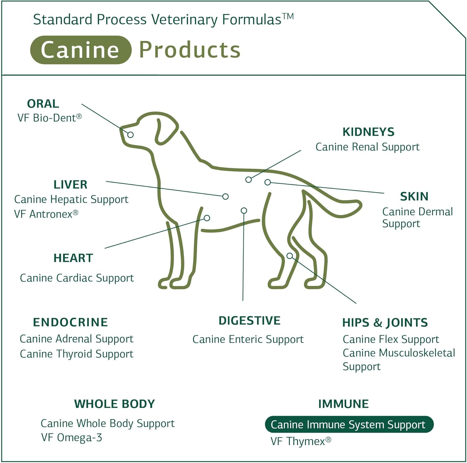 Standard Process Canine Immune 110 grams : Pet Supplies