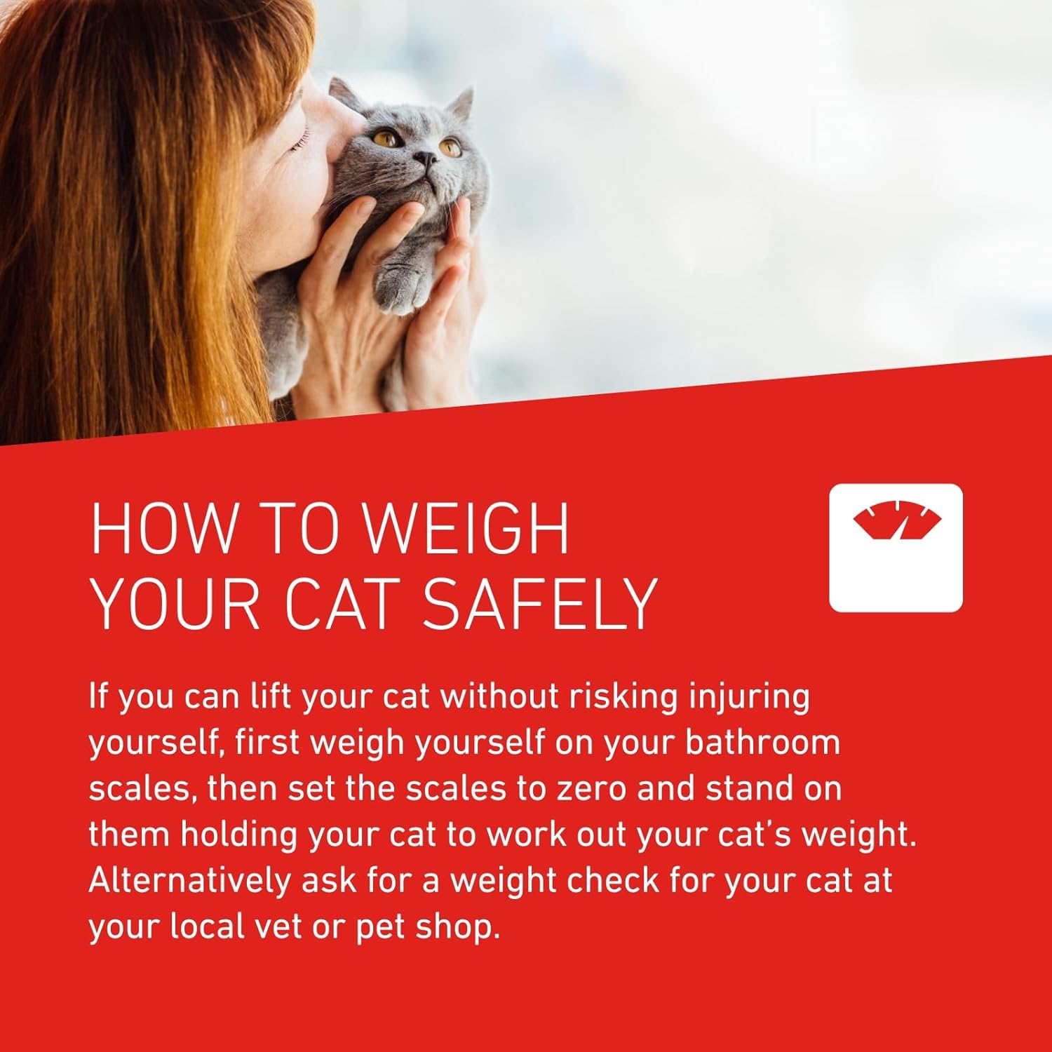 FRONTLINE WORMER - Cat Worming Treatment - 2 Tablets : Amazon.co.uk: Pet Supplies