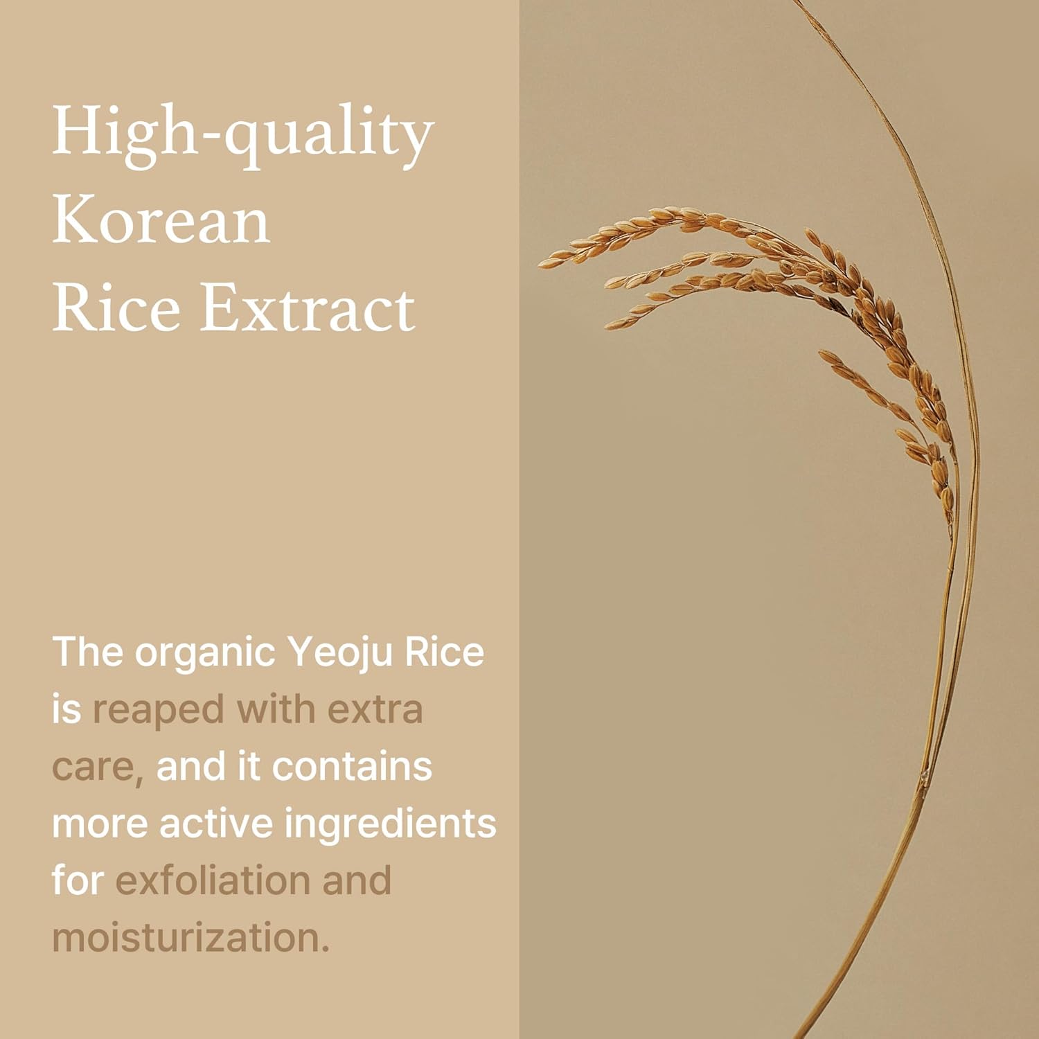 I'M From Rice Mask 3.88 Oz, Gentle Exfoliating Wash Off Facial Mask For Dull, Rough Skin, Pore Clearing, Remove Dead Skin Cells, Uneven Skin Tone, Smooth Skin, Moiustirinzg, Radiant : Beauty & Personal Care