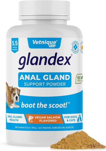Glandex Dog Fiber Supplement Powder for Anal Glands with Pumpkin, Digestive Enzymes & Probiotics - Vet Recommended Healthy Bowels and Digestion - Boot The Scoot (Vegan Salmon, 5.5oz Powder)