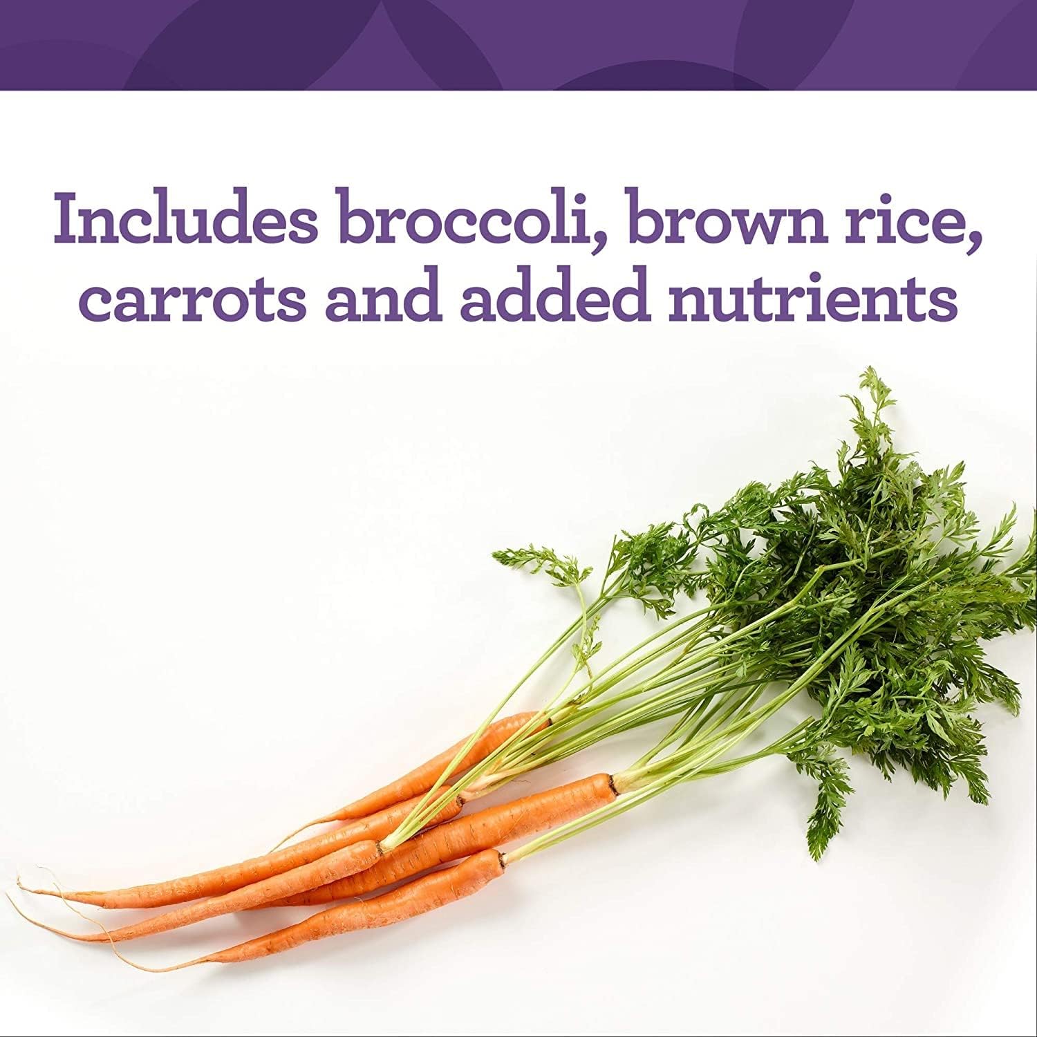 Innate Response Formulas Men’s 40+ Multivitamin - Daily Multivitamin for Men 40 and Over - Iron-Free - Includes Vitamins B12, B6, and D3 - Vegetarian and Non-GMO - 120 Tablets (60 Servings) : Health & Household