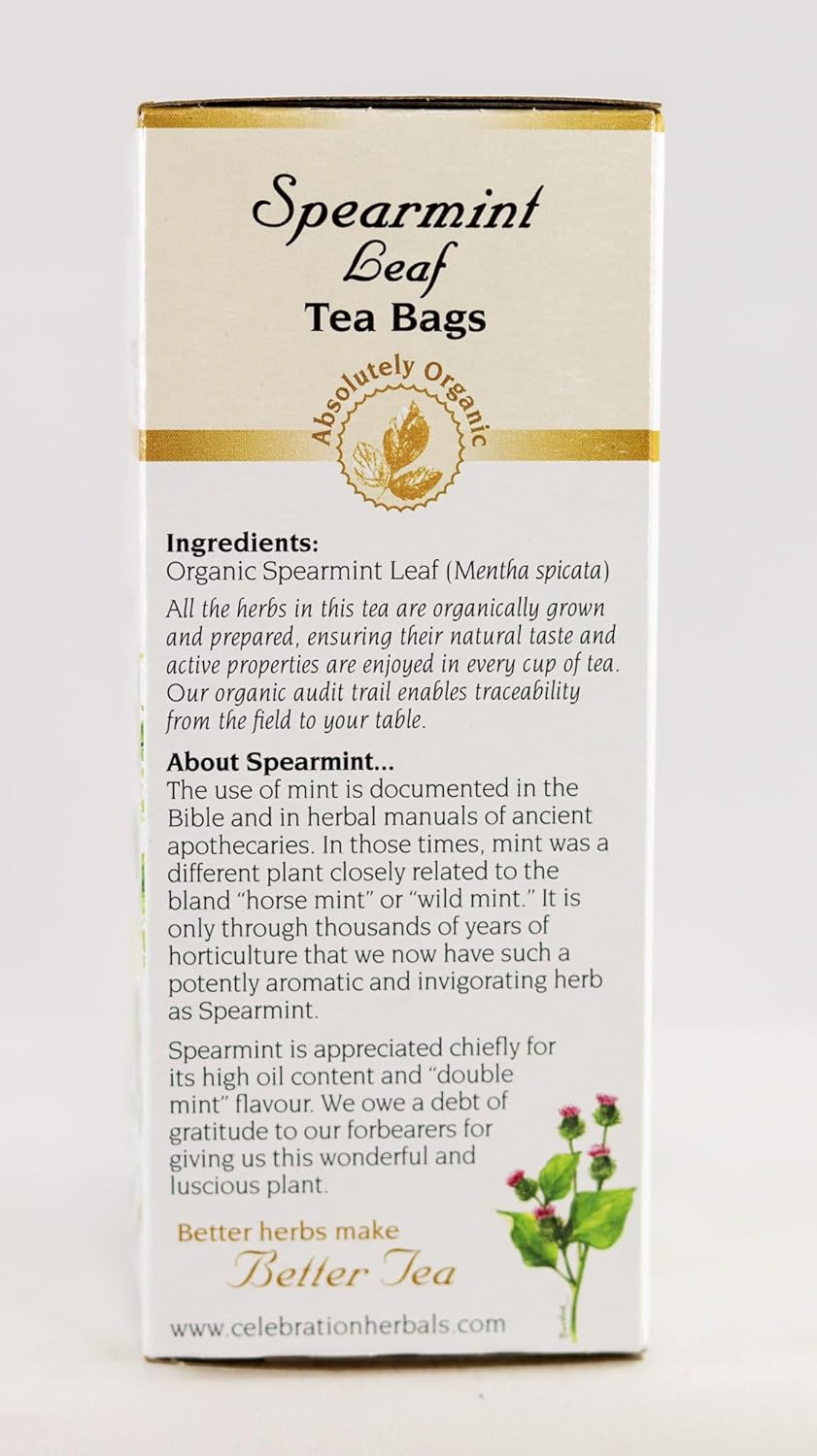 Celebration Herbals Spearmint Leaf 24 Count : Grocery & Gourmet Food