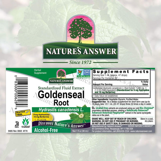 Nature's Answer Goldenseal Root | Herbal Supplement | Supports A Healthy Immune System | Gluten-Free & Alcohol-Free 1oz (2 Pack)