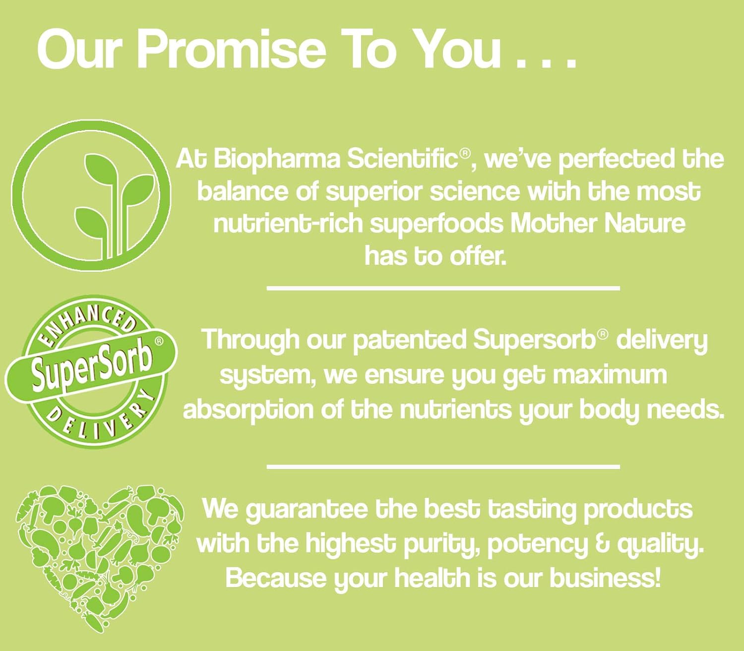 Biopharma Scientific Nanoneuro: Brain Support, N-Acetyl-L-Cysteine 600Mg, L-Theanine 200Mg, Improve Memory And Boost Focus, Energy, Memory, Mood, Clarity, 30 Servings : Health & Household