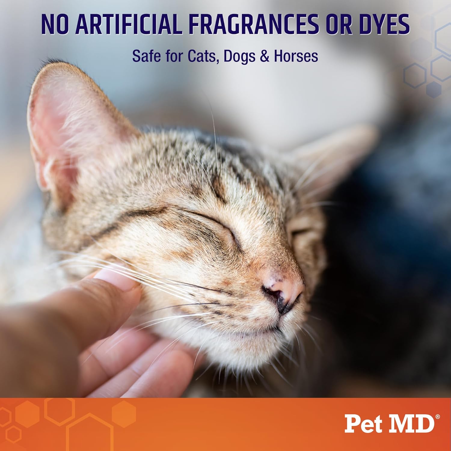Pet MD Hydrocortisone Spray for Dogs & Cats - Itchy Skin Relief from Hot Spots, Bites, Scrapes, Irritated Skin, & Dermatitis - 4 oz Anti Itch Spray with Pramoxine : Pet Supplies