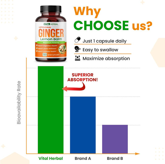 Vital Herbal Liposomal Ginger With Lemon Balm, Cinnamon- Maximum Potency - Supports Digestion, Joints, Immune Health - Made In The Usa