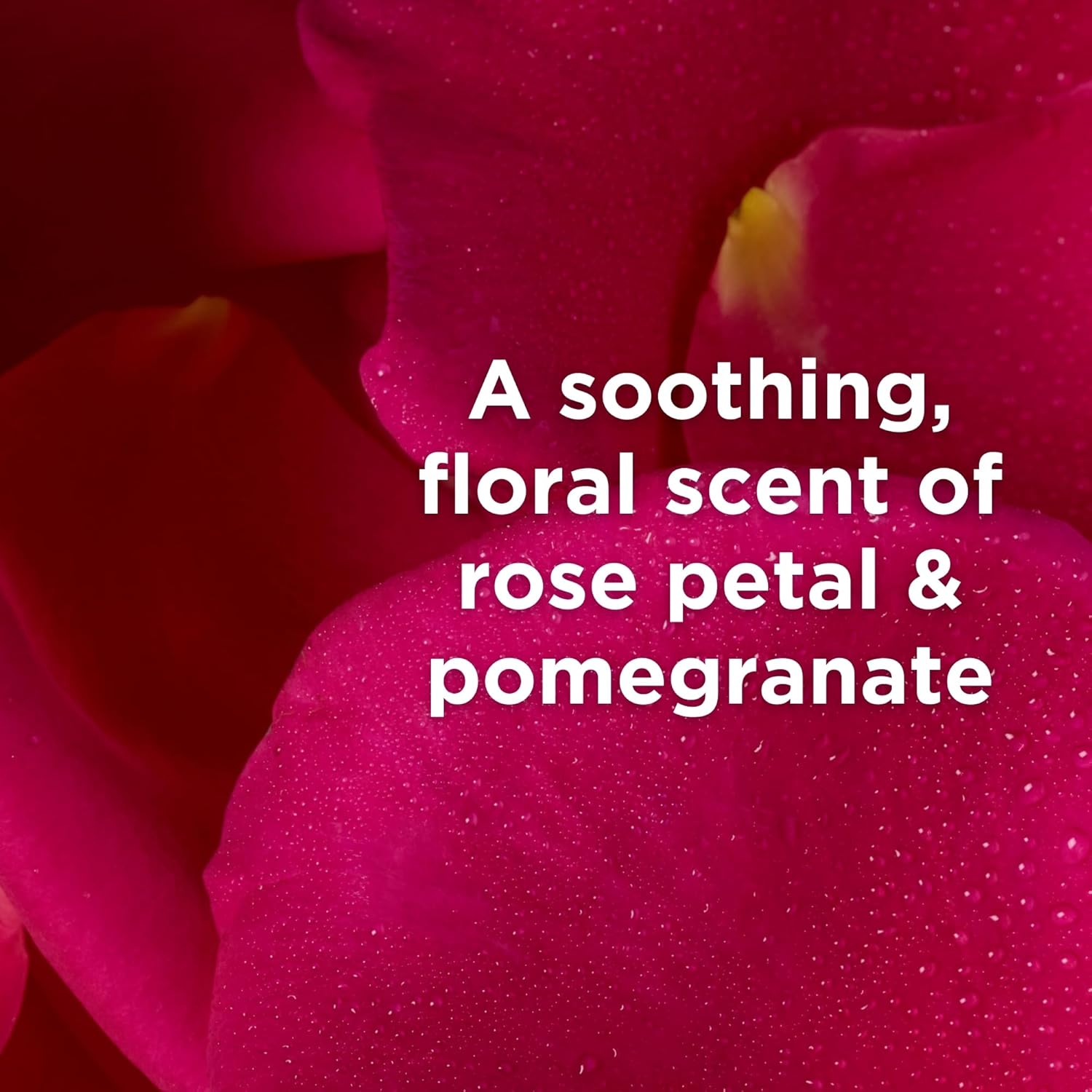 Andalou Naturals Body Lotion, Clarifying Grapefruit Skin Care, Lightweight, Gentle Exfoliating & Moisturizing Lotion With Salicylic Acid & Tea Tree For Skin Prone To Back Acne & Blemishes, 8 Fl Oz : Beauty & Personal Care