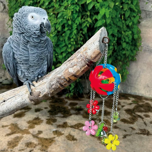 Charming Jingle Ball Parrot Toy Bird Noise Bell African Grey