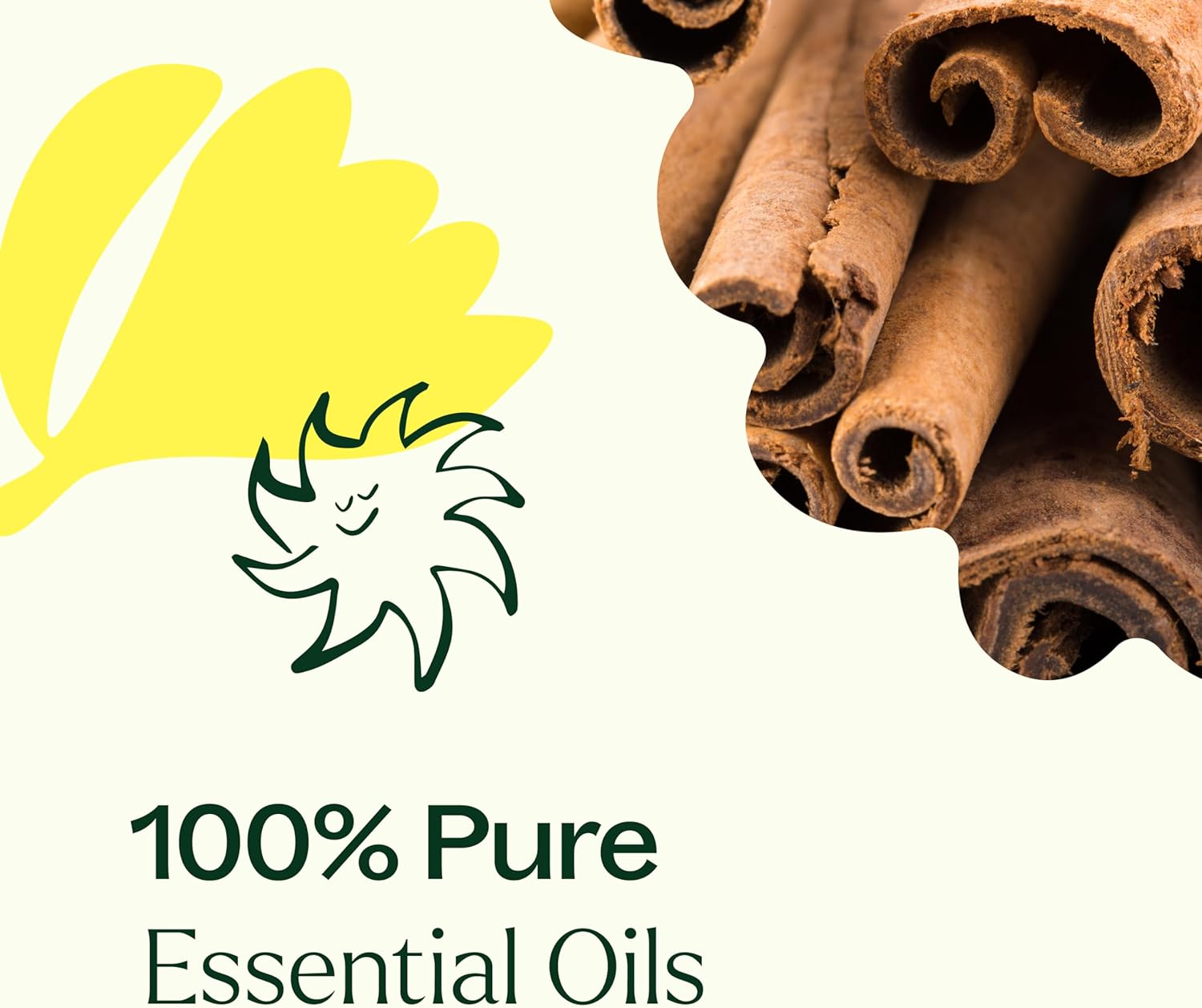 Plant Therapy Organic Fighter Essential Oil Blend 100% Pure, Undiluted, Therapeutic Grade 10 mL (1/3 oz) : Health & Household