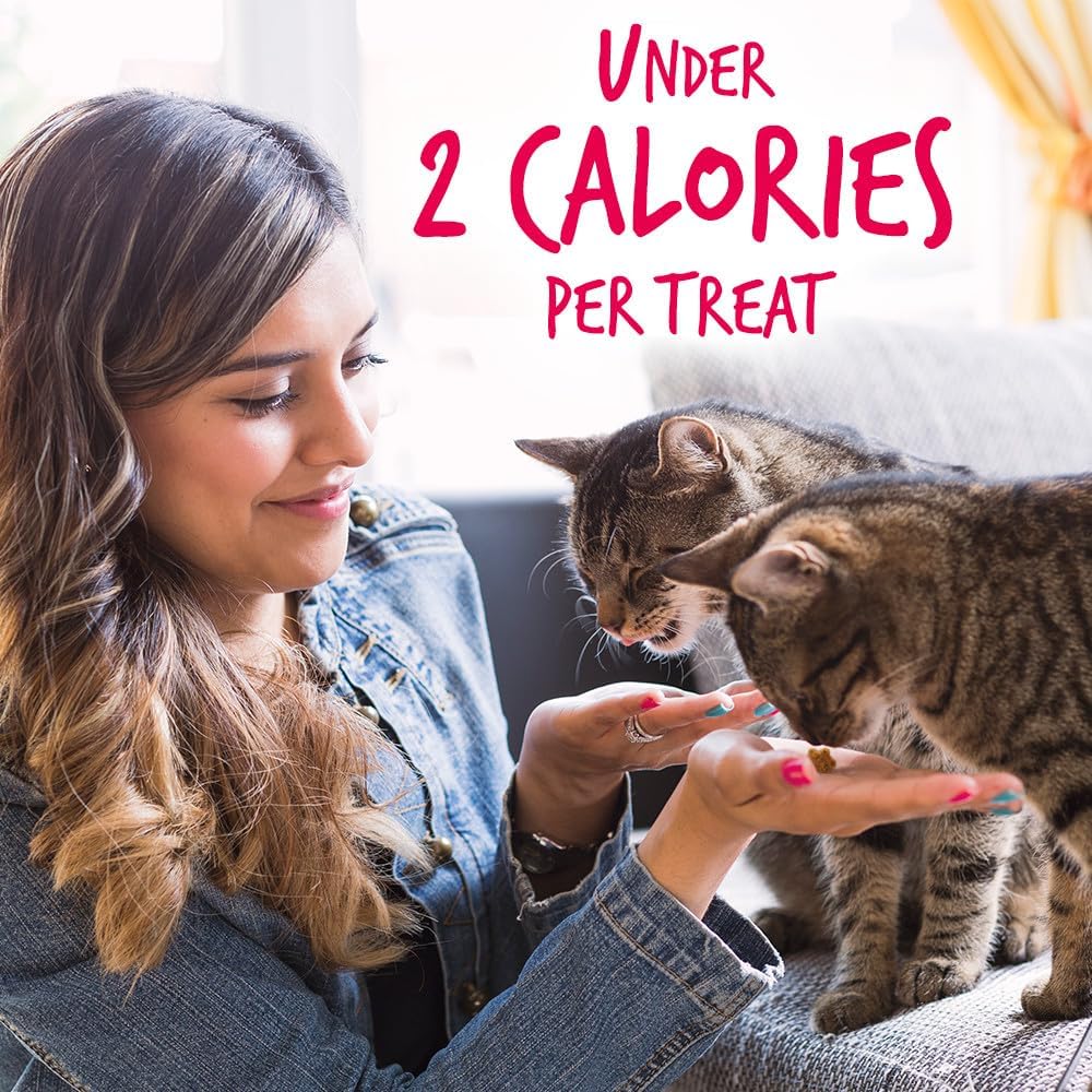 Fruitables Cat Crunchy Treats For Cats – Healthy Low Calorie Packed with Protein – Free of Wheat, Corn and Soy – Made with Real Salmon with Cranberry – 2.5 Ounces : Pet Supplies