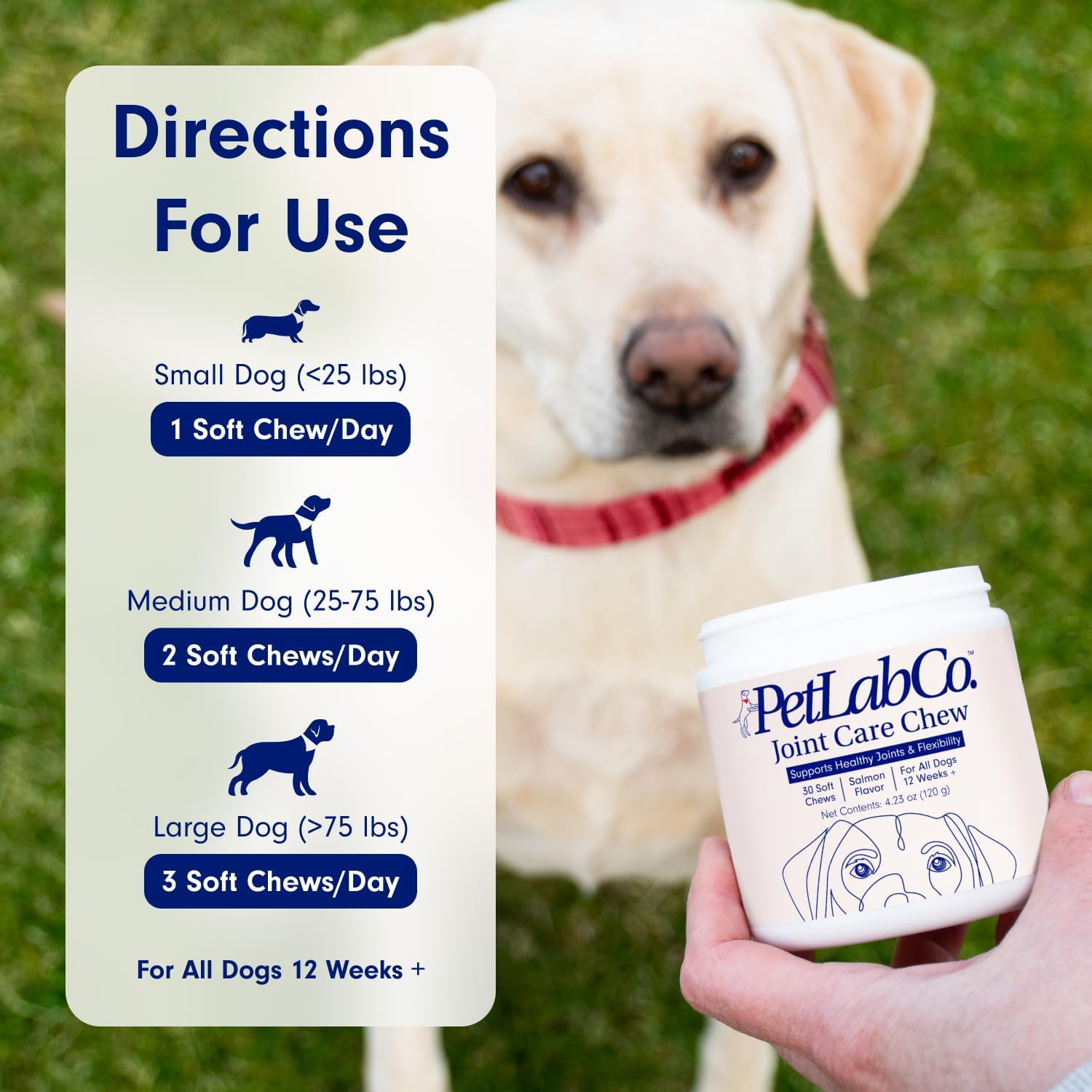 Petlab Co. Joint Care Chews - High Levels of Glucosamine for Dogs, Green Lipped Mussels, and Omega 3 - Dog Hip and Joint Supplement to Actively Support Mobility - Salmon : Pet Supplies