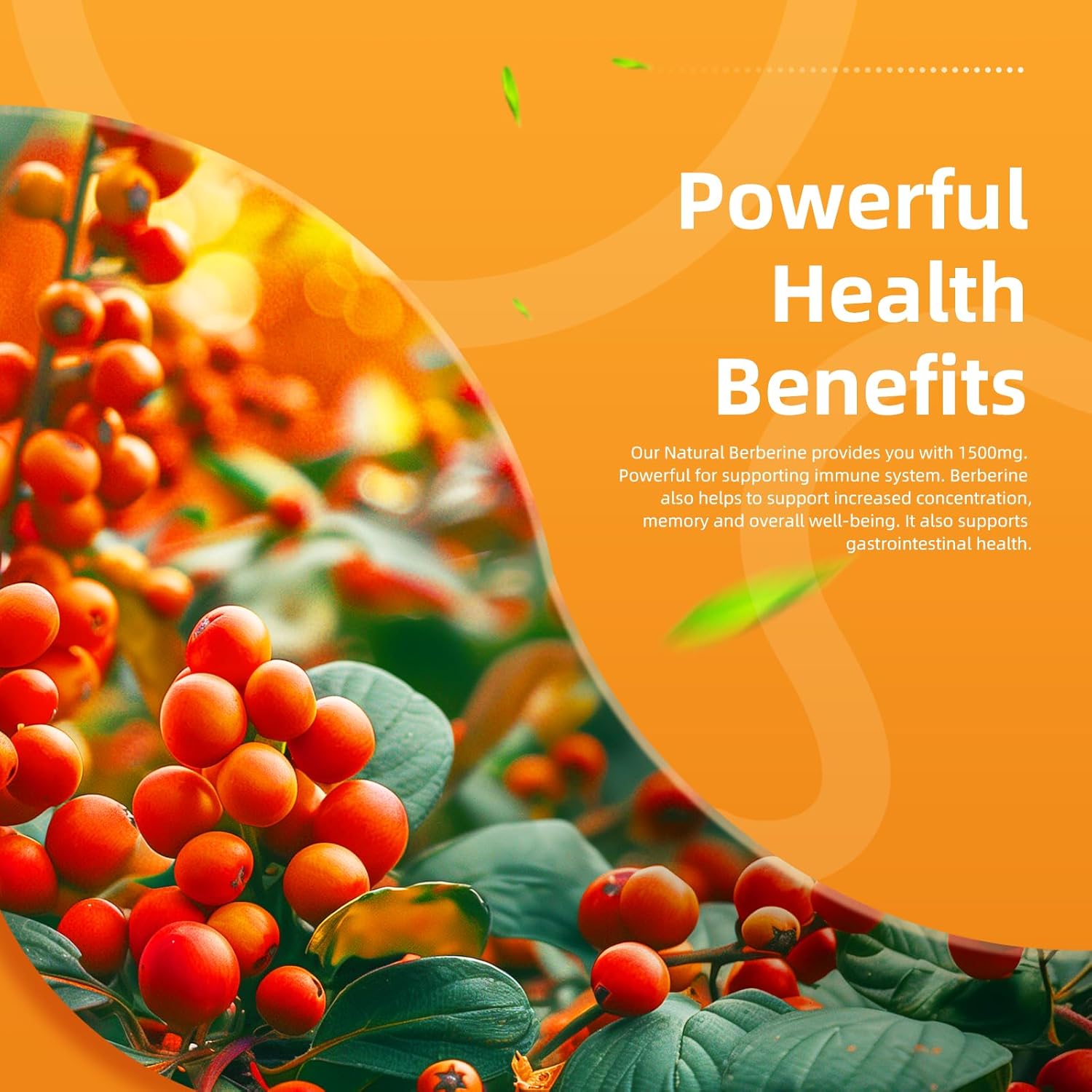 Elevatelife Berberine Supplement - Berberine 1500Mg Per Serving,120 Capsules - Berberine Hci - Berberine Plus - Plus Pure True Ceylon Cinnamon, Berberine Hci Root Supplements Pills