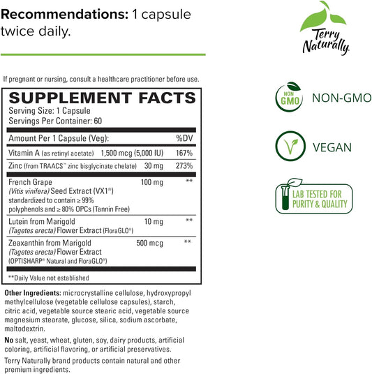 Terry Naturally Healthy Night Vision - 60 Capsules - Comprehensive Eye Support - With Lutein, Zeaxanthin & Zinc - Vegan, Non-Gmo - 60 Servings