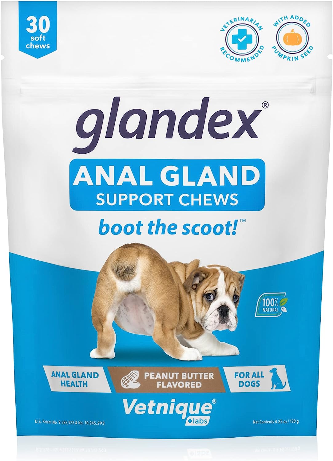 Glandex Anal Gland Soft Chew Treats with Pumpkin for Dogs Digestive Enzymes, Probiotics Fiber Supplement for Dogs Boot The Scoot (Peanut Butter Chews, 30ct)