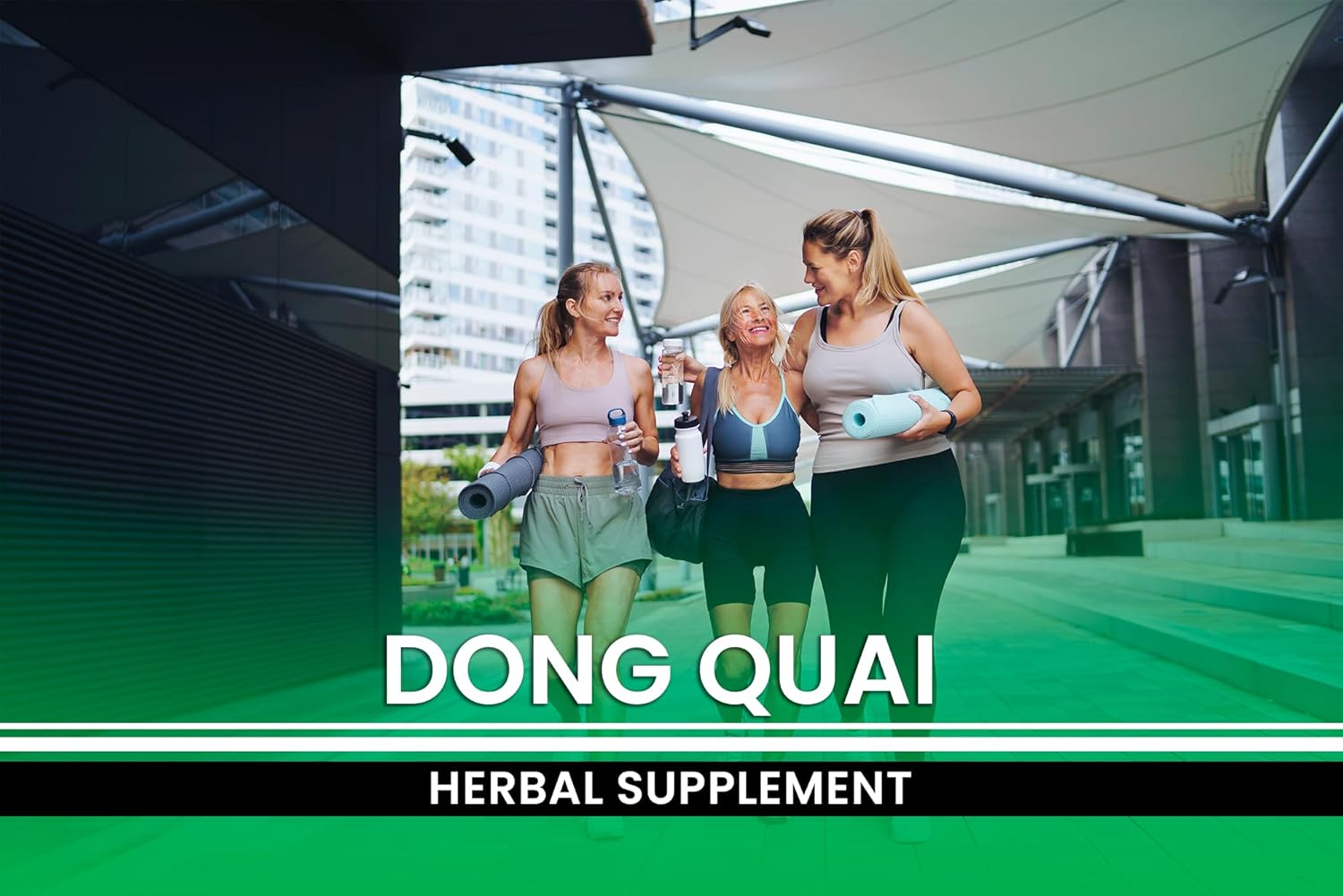 PURE ORIGINAL INGREDIENTS Dong Quai, (365 Capsules), No Magnesium Or Rice Fillers, Always Pure, Lab Verified : Health & Household