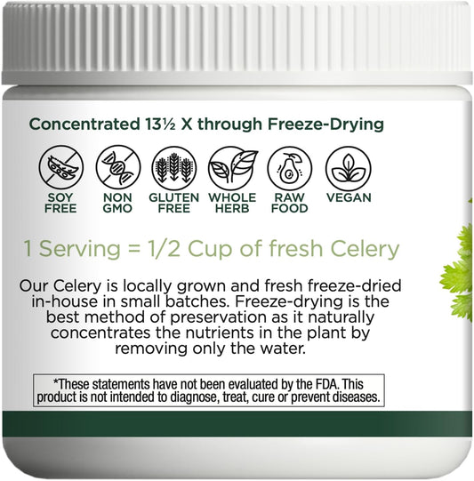 Eclectic Institute Raw Fresh Freeze-Dried Celery Whole Food Powder | 3.2 oz (90 g)