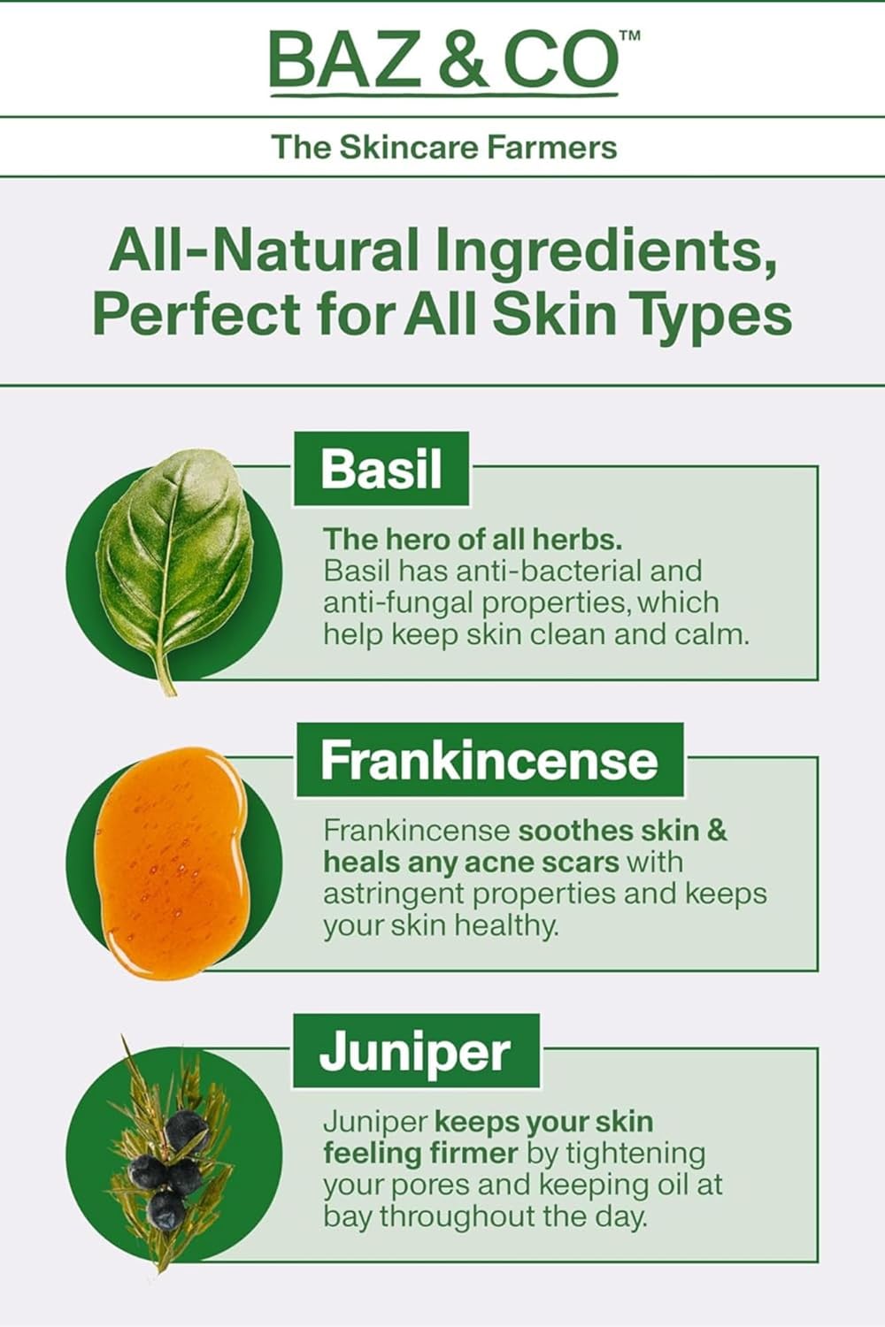 BAZ & CO Skin Food Moisturiser Face Cream for Men 50ml with Basil, Frankincense and Juniper