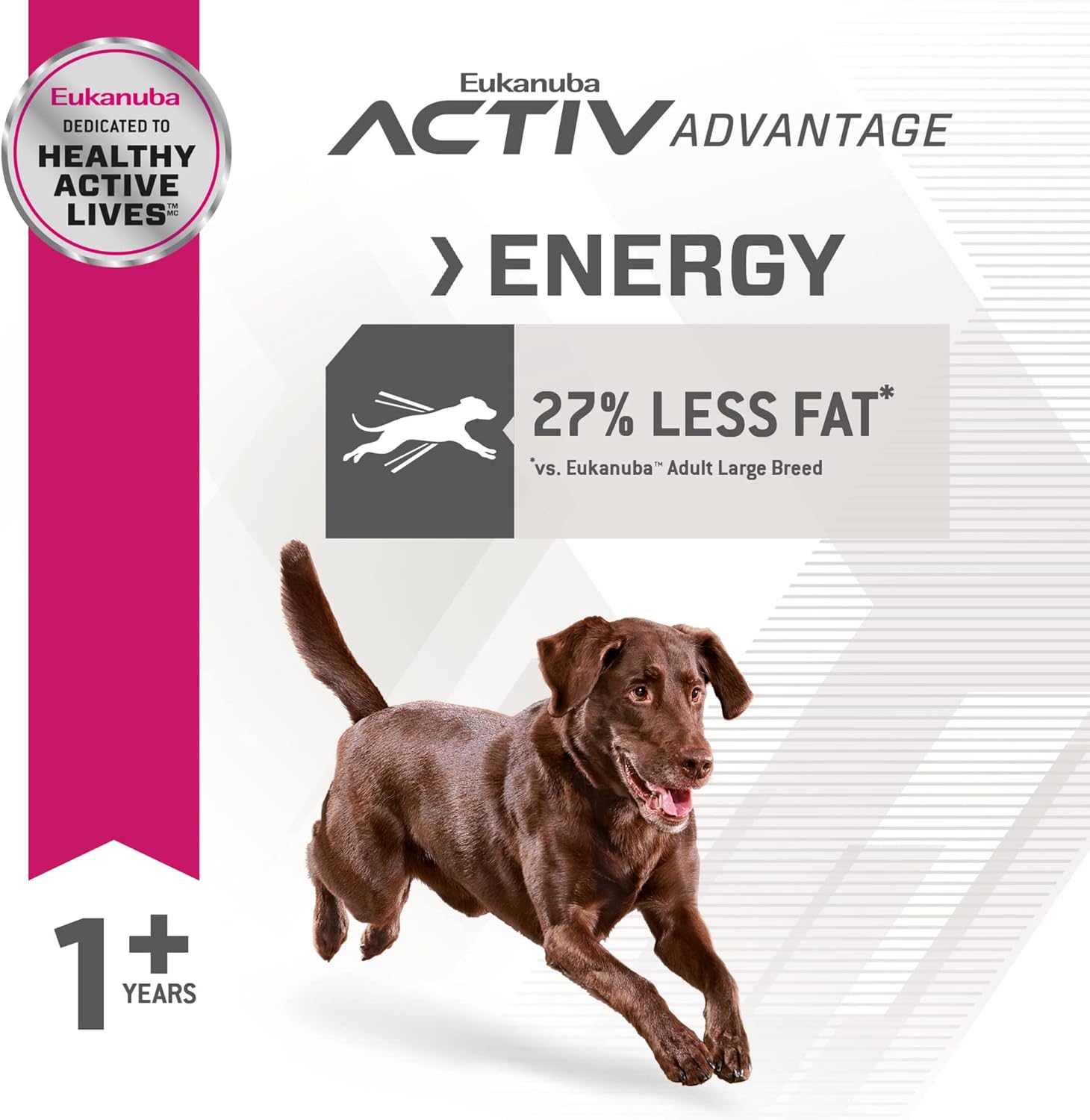 Eukanuba Fit Body Weight Control Large Breed Dry Dog Food, 28 lb : Pet Supplies
