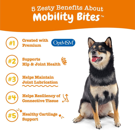 Zesty Paws Mobility Bites Dog Joint Supplement - Hip and Joint Chews - Pet Products with Glucosamine, Chondroitin, & MSM + Vitamins C and E for Dog Joint Relief - Duck - 90 Count