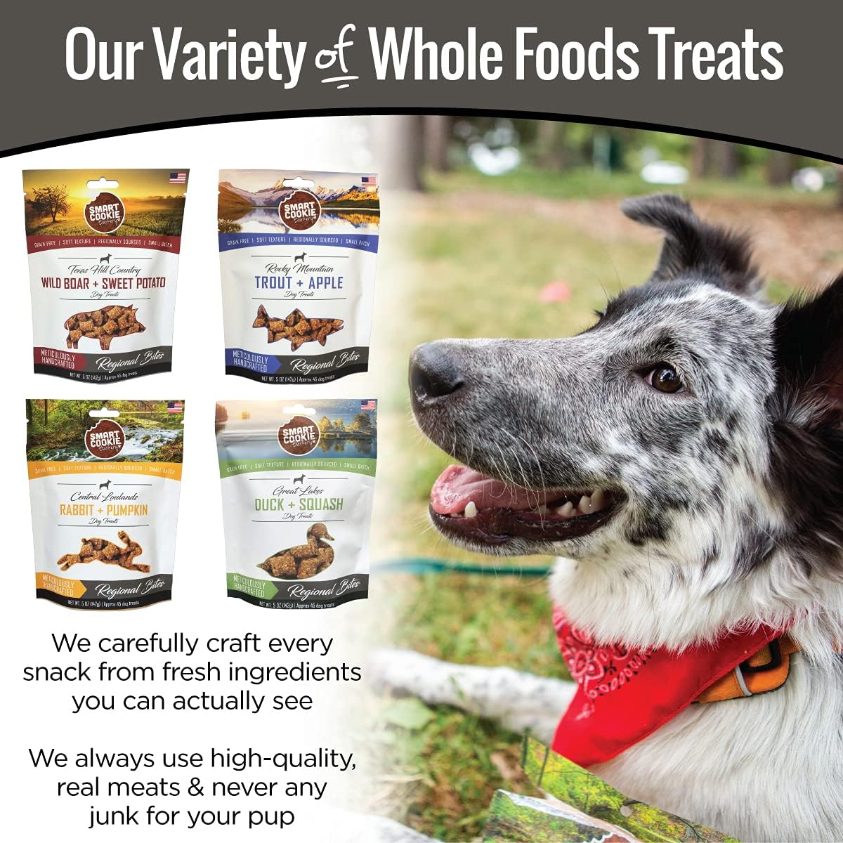 Smart Cookie All Natural Dog Treats - 4 Flavor Variety Pack (5oz Each) - Healthy Dog Treats for Dogs & Puppies with Allergies, Sensitive Stomachs - Soft Dog Treats, Chewy, Grain Free, Made in USA : Pet Supplies