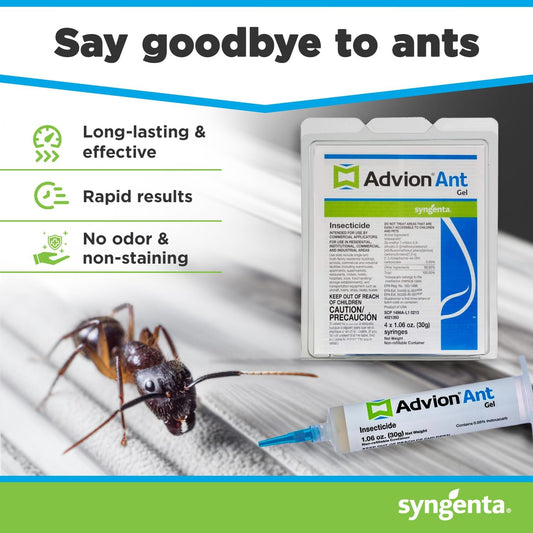 Advion Ant Gel Bait, 4 Tubes X 30-Grams, 1 Plunger And 2 Tips, Effective Ant Bait, Formulated With 0.05% Indoxacarb, Indoor And Outdoor Use, Ant Killer Gel For Control Of Most Major Ant Species