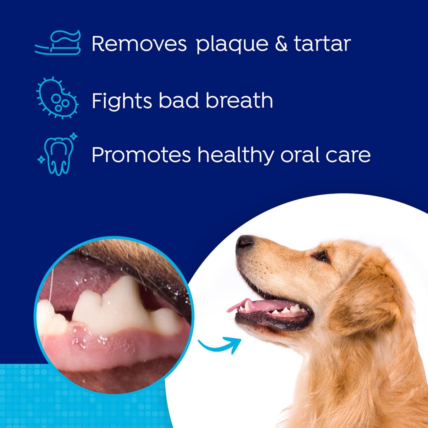 Naturel Promise Fresh Dental Water Additive - Dental Health Solution for Dogs Plus Hip & Joint - Freshens Breath Up to 12 Hours-No Brushing Required-Glucosamine Helps HIPS & Joints-17.9 Fl Oz, 1 Pack : Pet Supplies