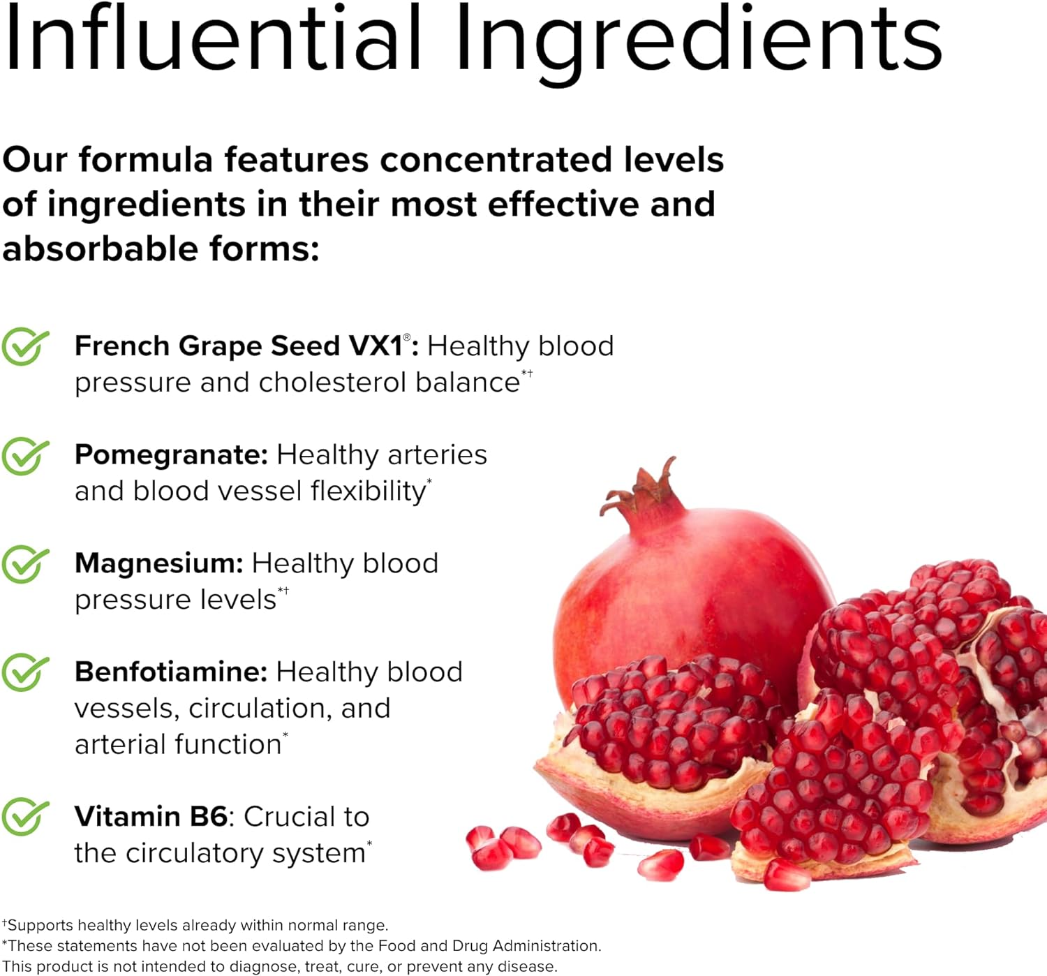 Terry Naturally Clinical OPC Heart - 60 Capsules - French Grape Seed Complex - Non-GMO, Vegan, Gluten Free - 20 Servings : Health & Household