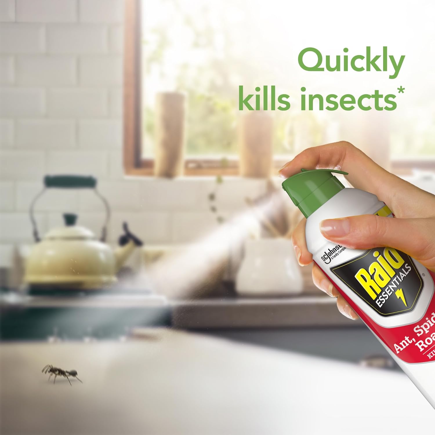 Raid Essentials Ant, Roach & Spider Killer Aerosol Spray, Child & Pest Safe, Kills Insects Quickly, For Indoor Use 10Oz