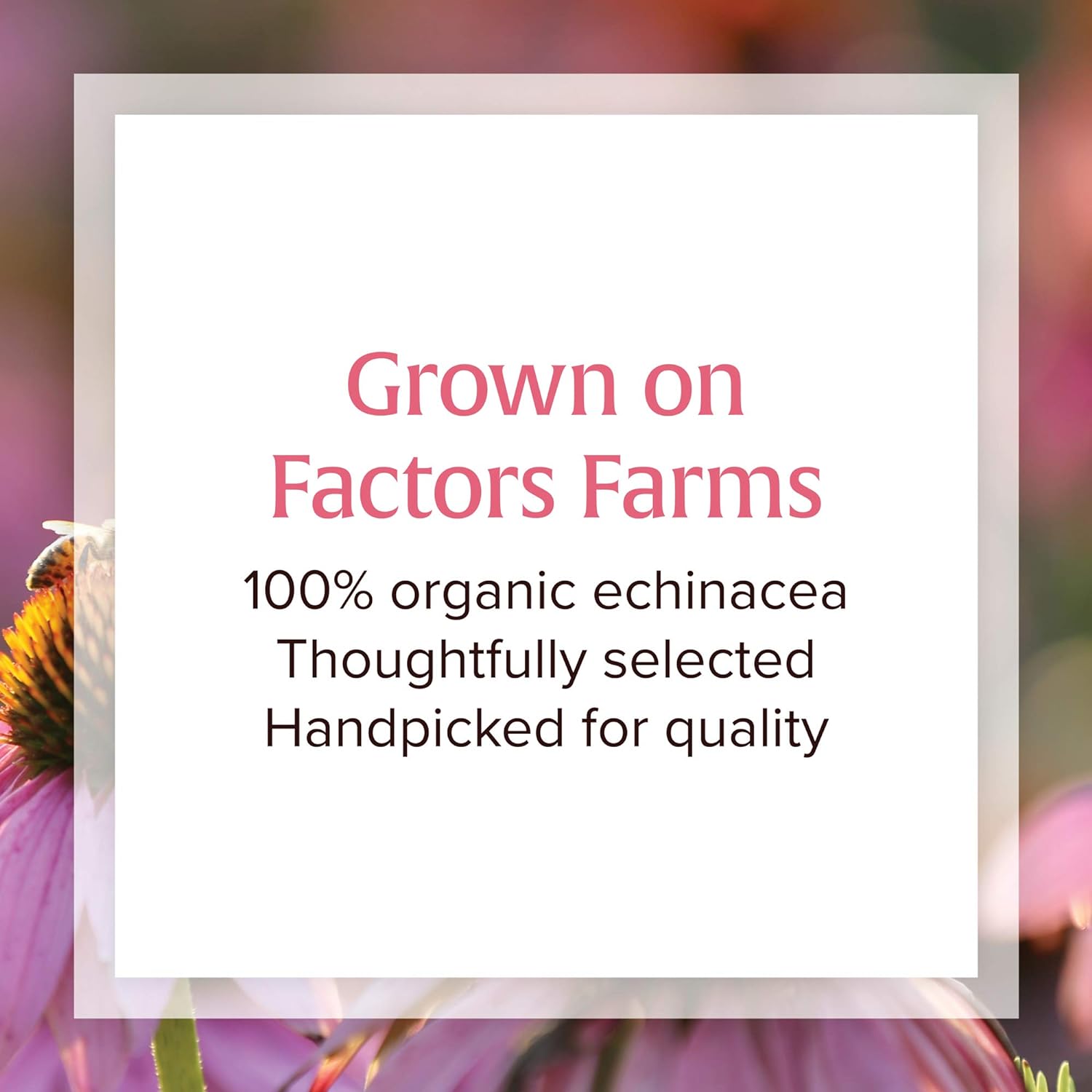 Natural Factors, Anti-V Liquid Formula, Echinacea Supplement for Immune and Wellness Support, Organic, Non-GMO, 3.4 oz (100 servings) : Health & Household