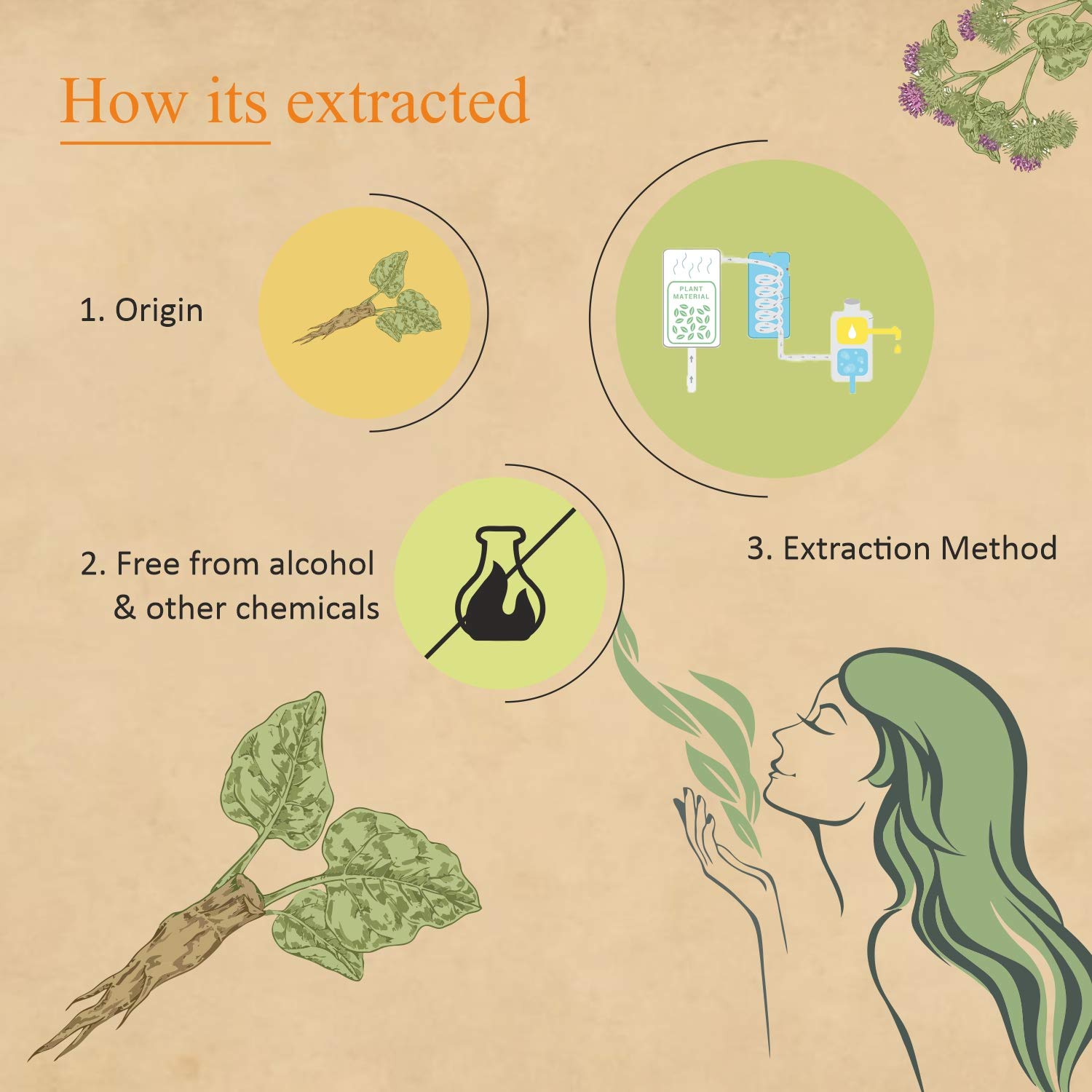 Florona Burdock Root Oil 100% Pure & Natural - 4 Fl Oz, For Hair, Face & Skin Care : Health & Household