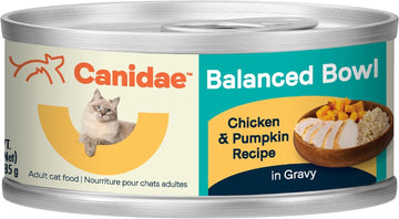 Canidae Balanced Bowl Wet Cat Food, Chicken & Pumpkin Recipe, 3 Oz. (Case Of 24)