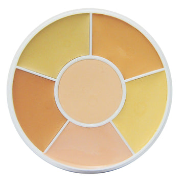 Cover-All Wheel : Makeup : Beauty & Personal Care
