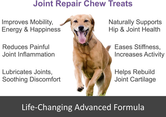 Advanced Joint Repair Hip & Joint Health Supplement for Dogs - Relieves Arthritis, Pain & Inflammation, Improve Mobility, Extra Strength Soft Chew Treats with Glucosamine, Chondroitin & MSM