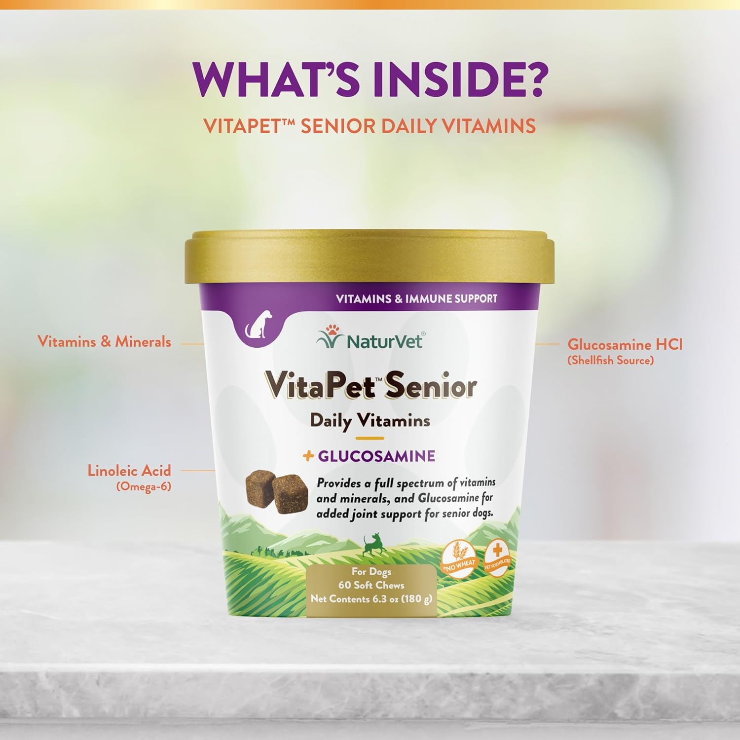 NaturVet VitaPet Senior Daily Vitamins Plus Glucosamine for Dogs, 60 ct Soft Chews, Made in The USA with Globally Source Ingredients : Pet Supplies