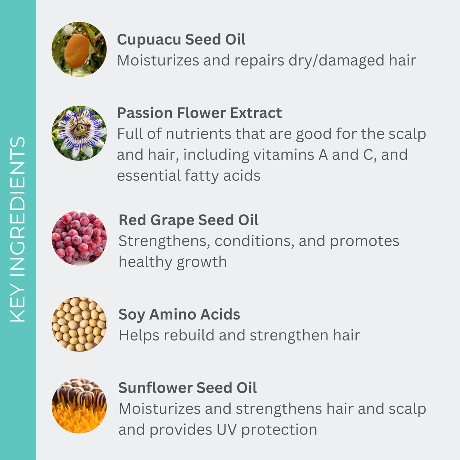 Evolvh - Natural Ultrashine Moisture Conditioner | Vegan, Non-Toxic, Clean Hair Care (2 Fl Oz | 60 Ml) : Beauty & Personal Care