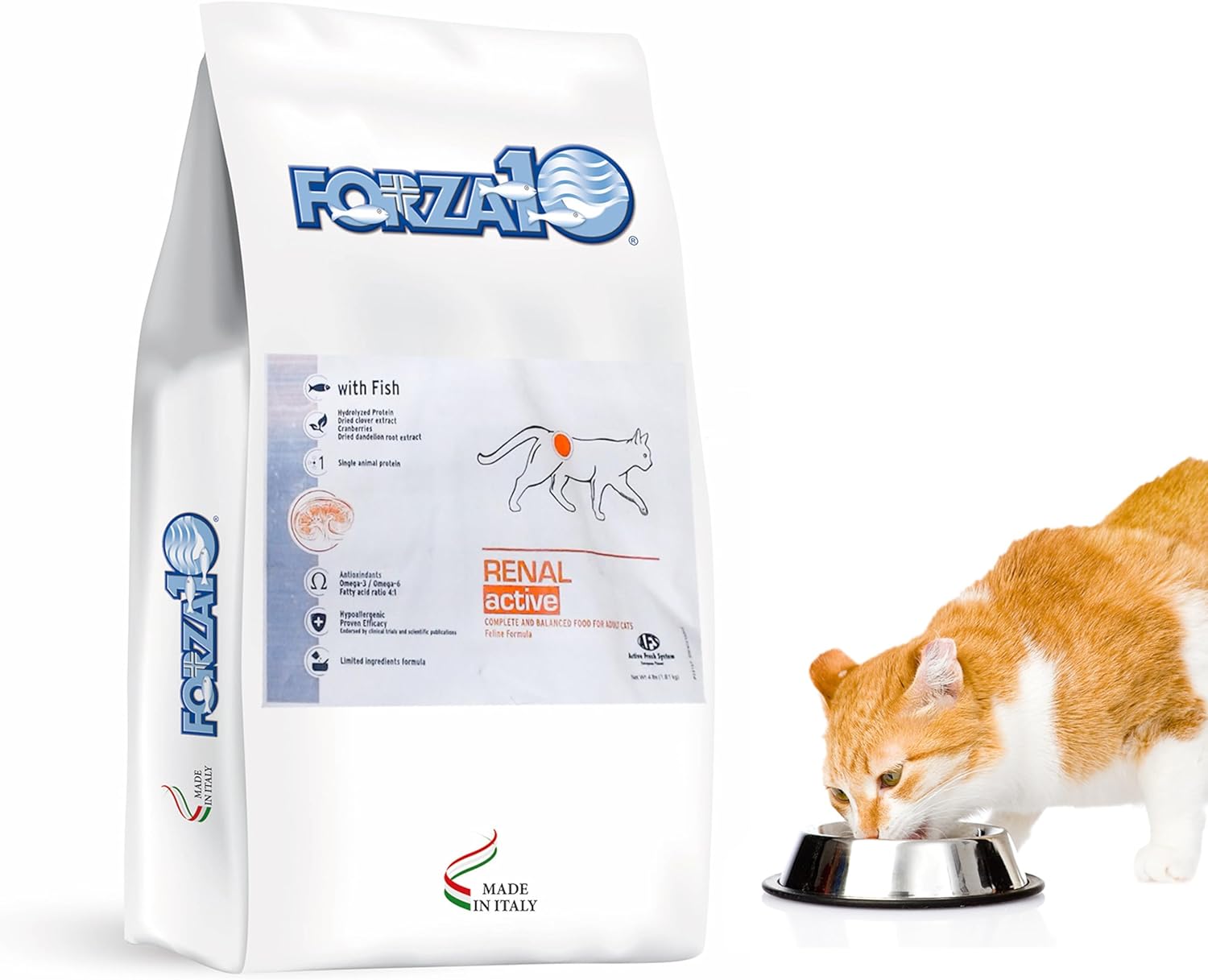 Forza10 Active Kidney Renal Diet Dry Cat Food For Adult Cats, Kidney Care Cat Food For Heart And Kidney Problems, Wild Caught Anchovy Flavor, 4 Pound Bag