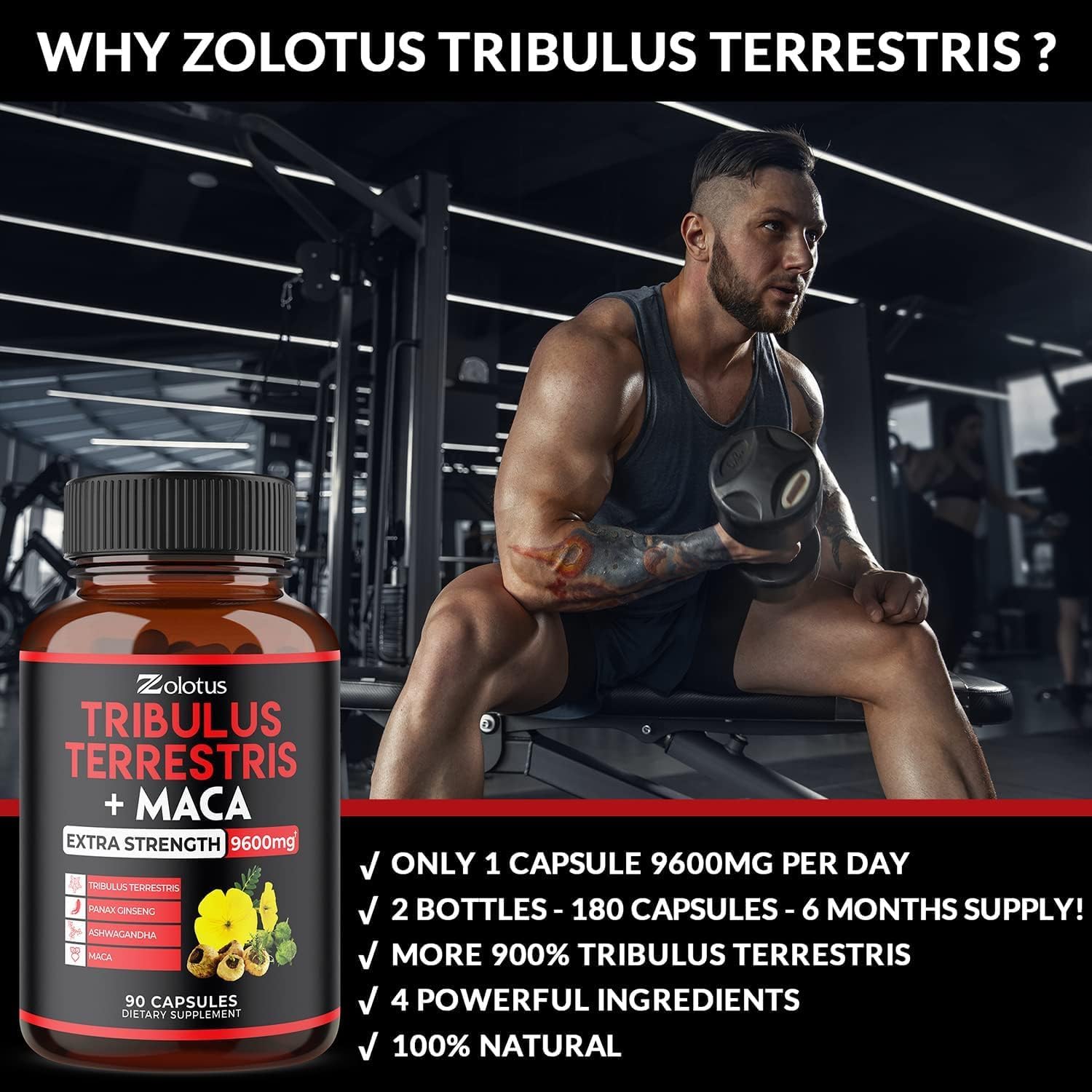 Zolotus 2 Packs Premium Tribulus Terrestris + Maca, 9600mg Per Capsule, 6 Months Supply, Highest Potency with Ashwagndha, Panax Ginseng, Boost Energy, Mood, Stamina & Performance, for Men & Women : Health & Household