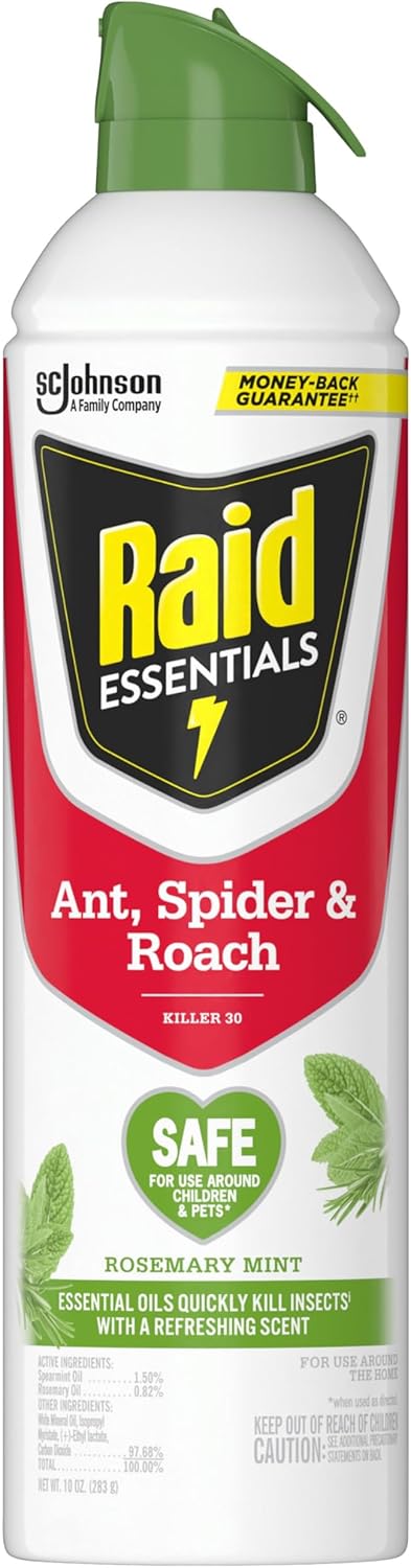 Raid Essentials Ant, Roach & Spider Killer Aerosol Spray, Child & Pest Safe, Kills Insects Quickly, For Indoor Use 10Oz